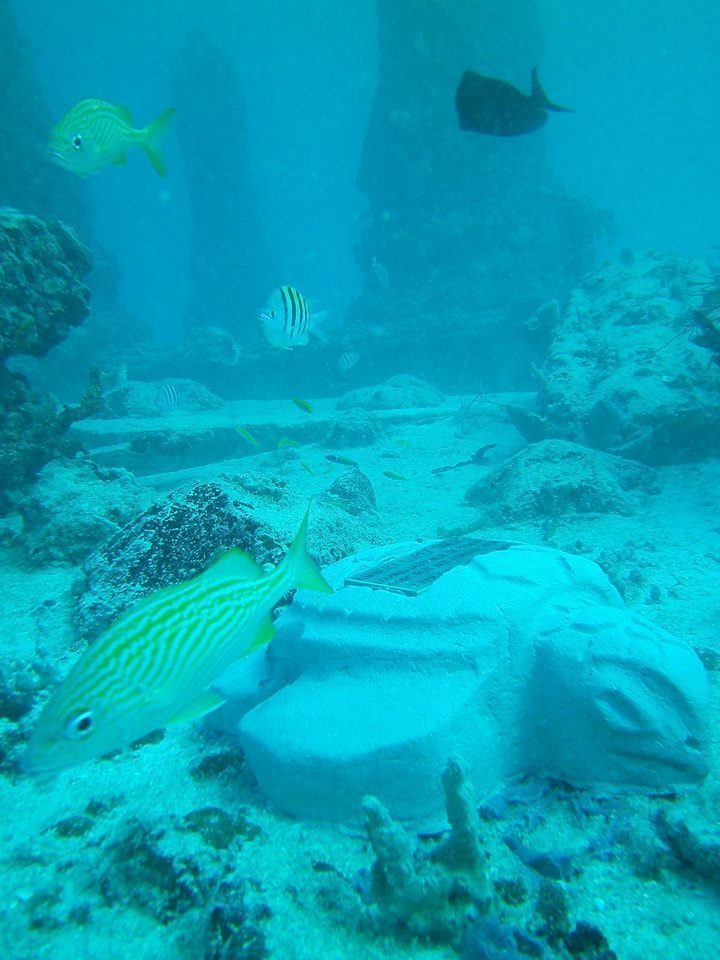 Как выглядит первое в мире подводное кладбище