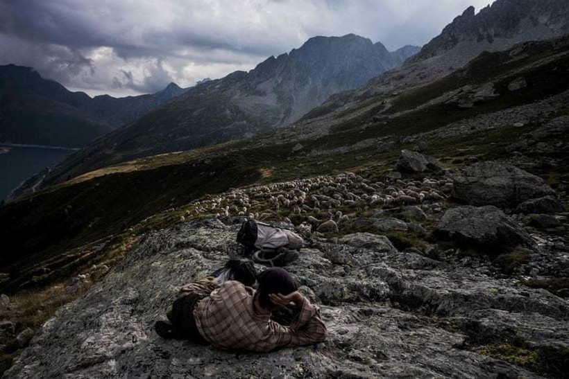 21 одна фотография о том, как живут пастухи в Альпах