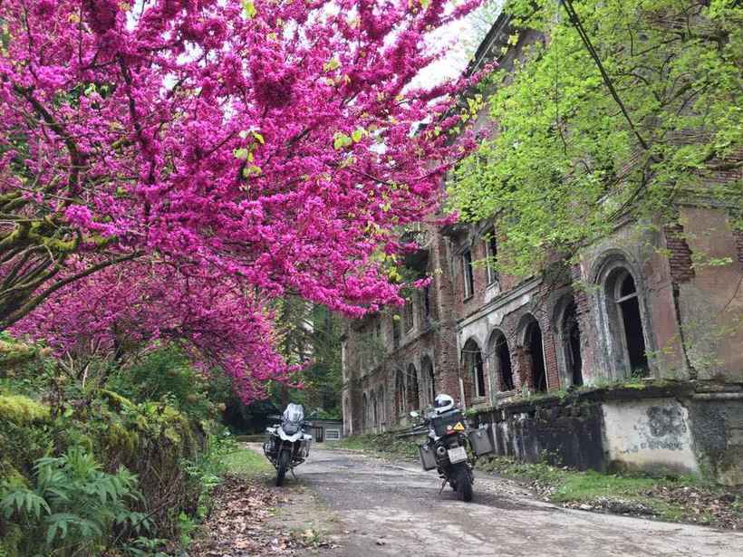 Цветущая Абхазия в апреле