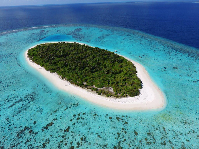 Блог - Красота подводного царства: домашний риф в новом отеле-курорте Faarufushi Maldives Красота подводного царства: домашний риф в новом отеле-курорте Faarufushi Maldives