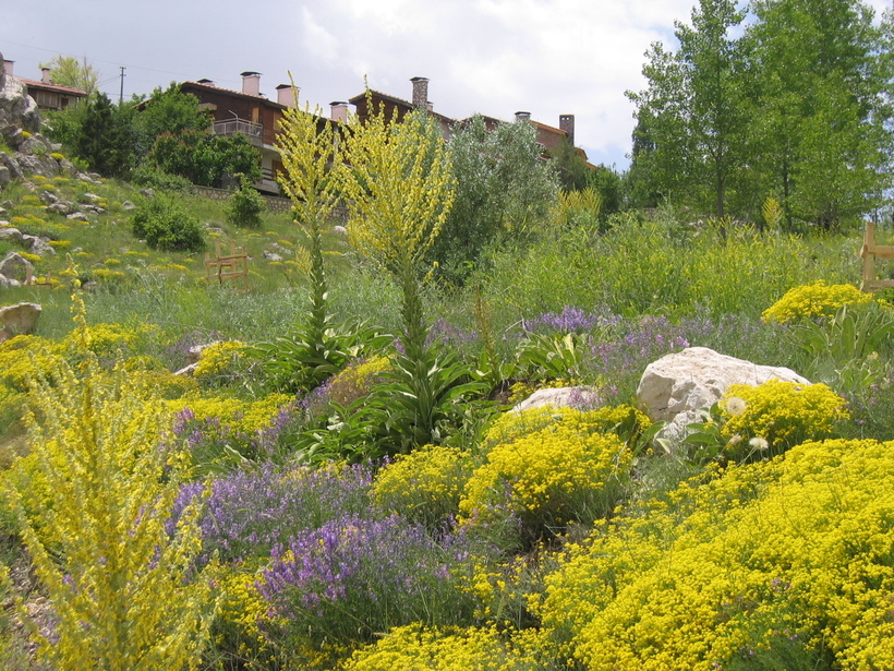 Лето на горнолыжном курорте