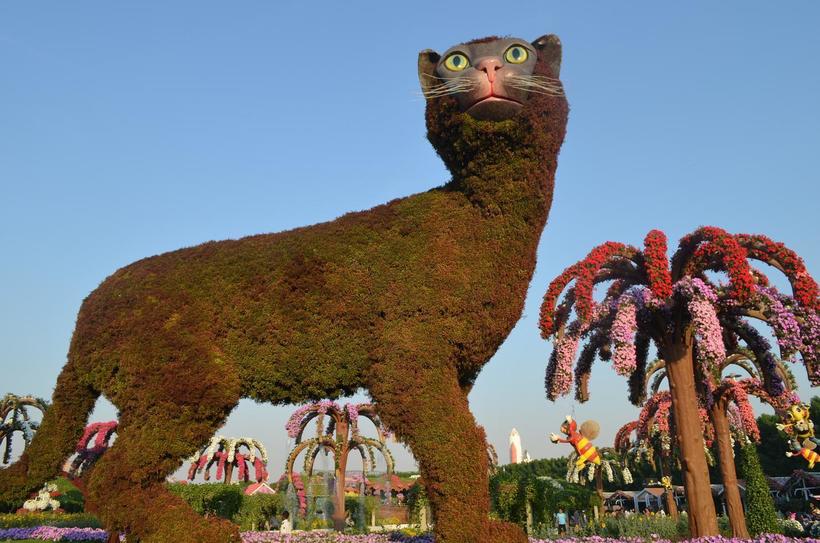 Колоссальный кот. Хорошо, что не кот Скрипалей