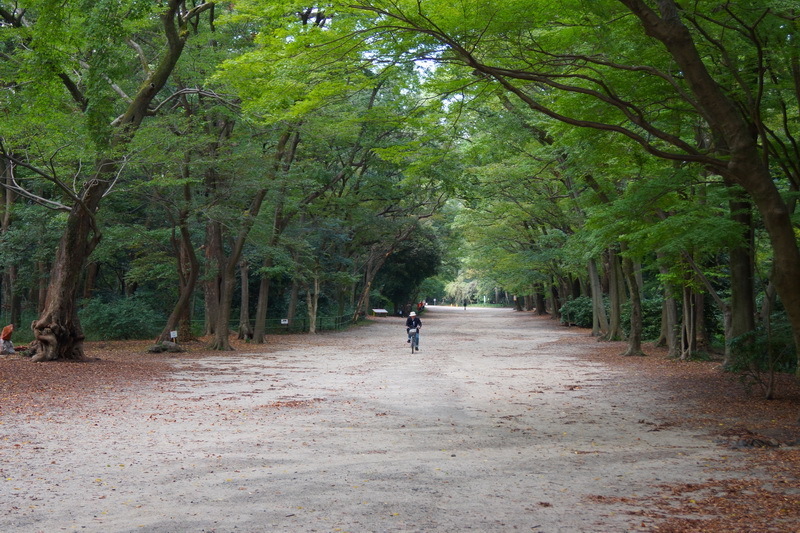 Обычный парк в Киото