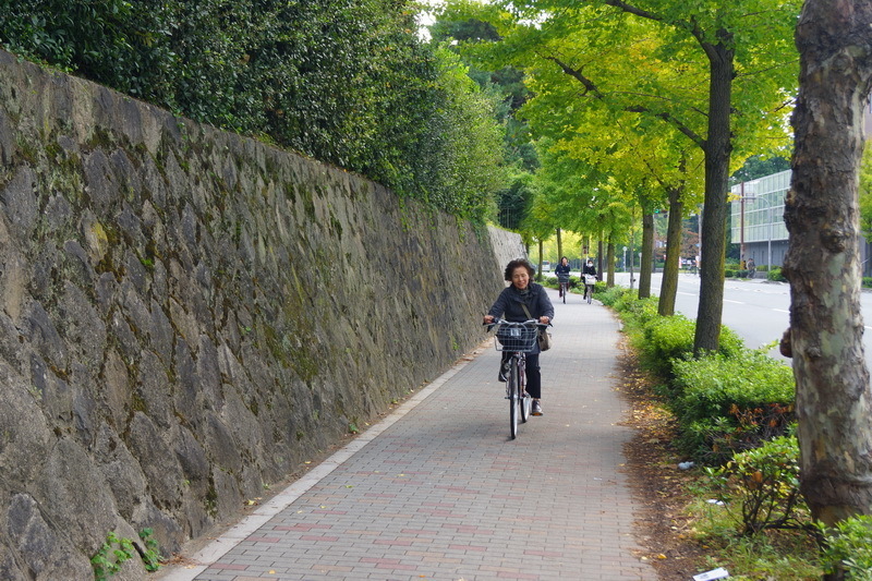 На велосипеде по Киото