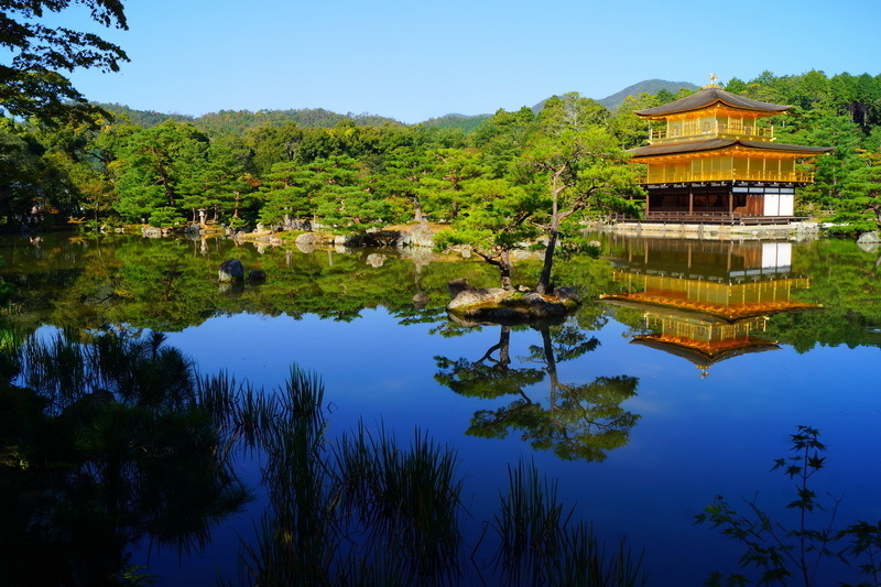 Золотой павильон в Киото