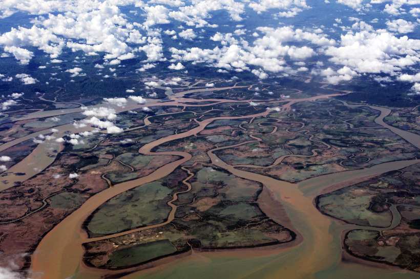 Сундарбан — самый грандиозный мангровый лес на планете, который защищает Калькутту 