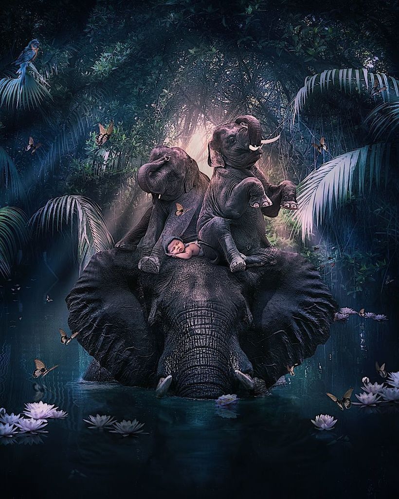 16 великолепных портретов животных от Андреаса Хэггквиста с очень важным посланием 