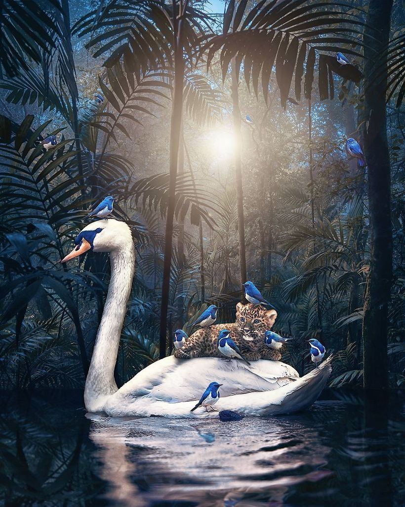 16 великолепных портретов животных от Андреаса Хэггквиста с очень важным посланием 