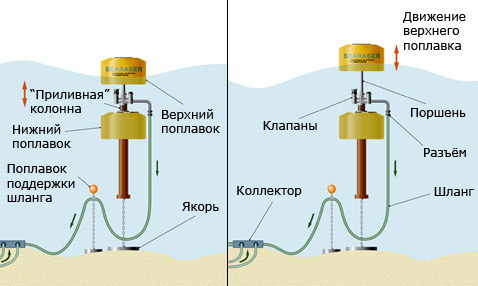 Блог - Это не бассейн: зачем нужен странный восьмиугольный водоем на берегу Тихого океана Это не бассейн: зачем нужен странный восьмиугольный водоем на берегу Тихого океана