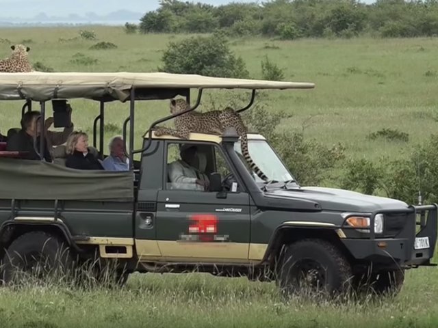 Блог - Разочаровывающие фото, показывающие, как на самом деле выглядит поездка на сафари Разочаровывающие фото, показывающие, как на самом деле выглядит поездка на сафари