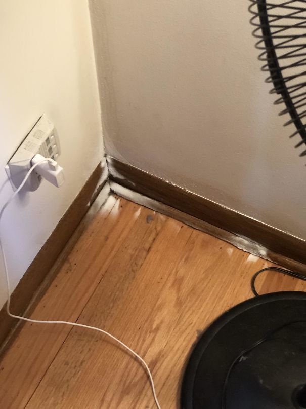 Аномальная зима: 20 фото о том, насколько безумно холодно в США сейчас