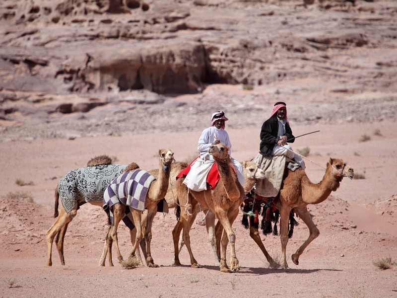 Караван 6 букв. Бедуины в Египте. Бедуины Негев. Бедуины в Пакистане. Бедуины Аравийского полуострова.