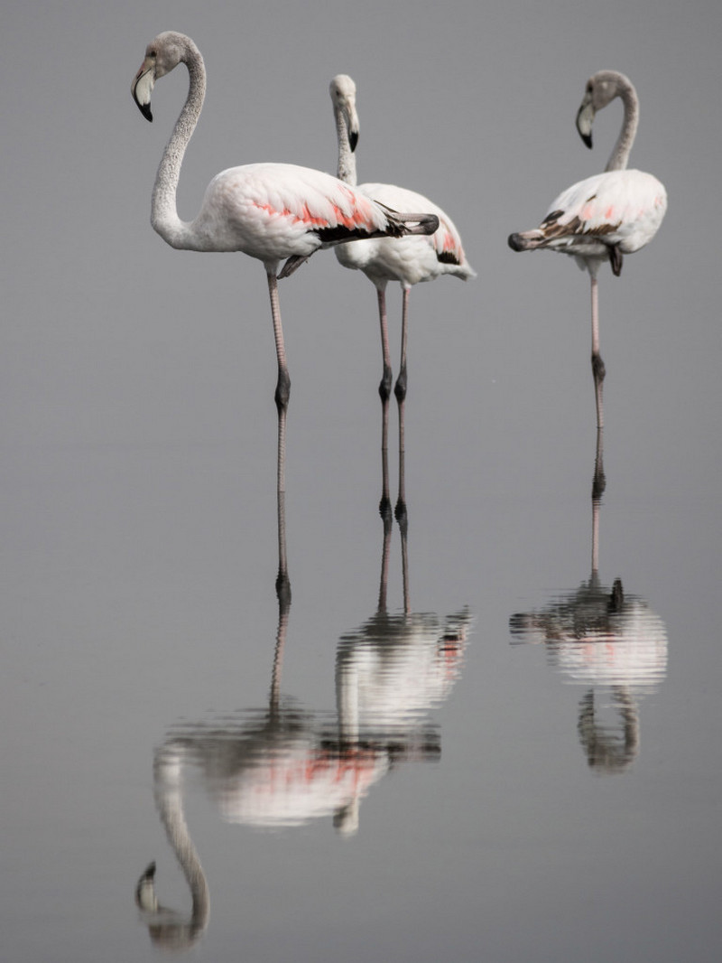 Фотографии победителей конкурса Wiki Loves Earth о красоте нашей планеты