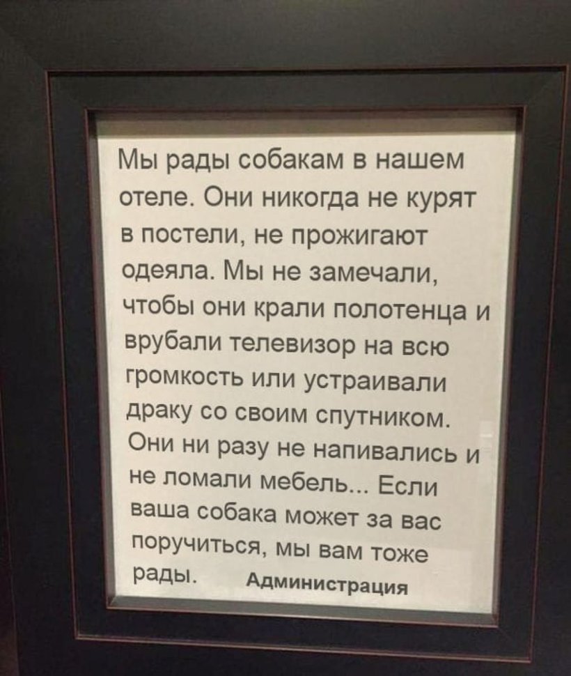 Блог - 17 случаев, когда отели удивили гостей своей креативностью 17 случаев, когда отели удивили гостей своей креативностью