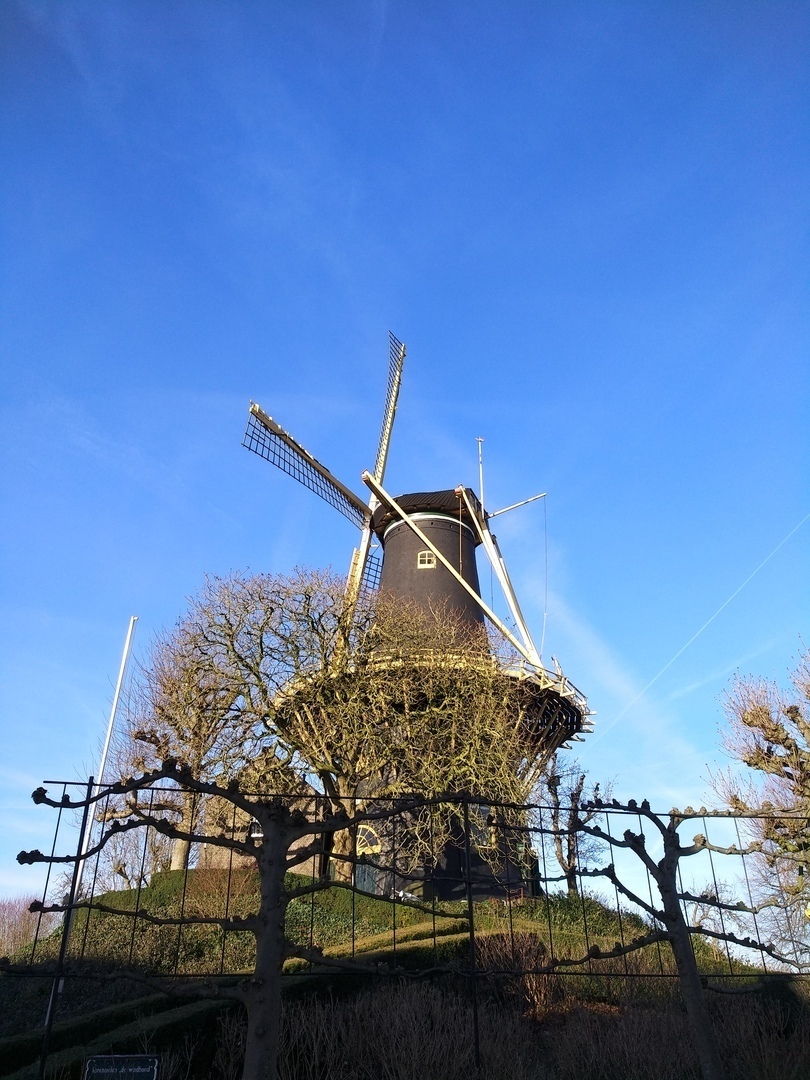 Molen de Windhound