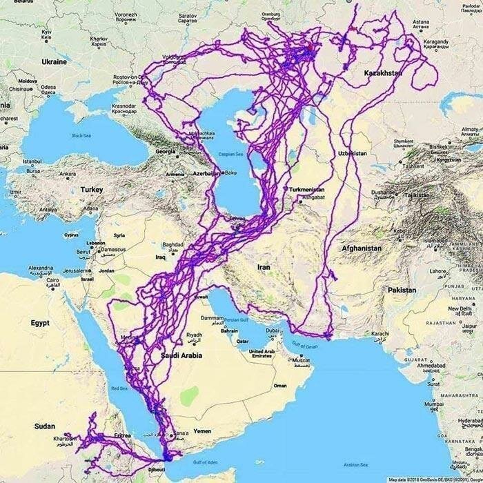 Блог - Вся жизнь в небе: мужчина нашел орла с датчиком и узнал, где побывала птица за 20 лет Вся жизнь в небе: мужчина нашел орла с датчиком и узнал, где побывала птица за 20 лет