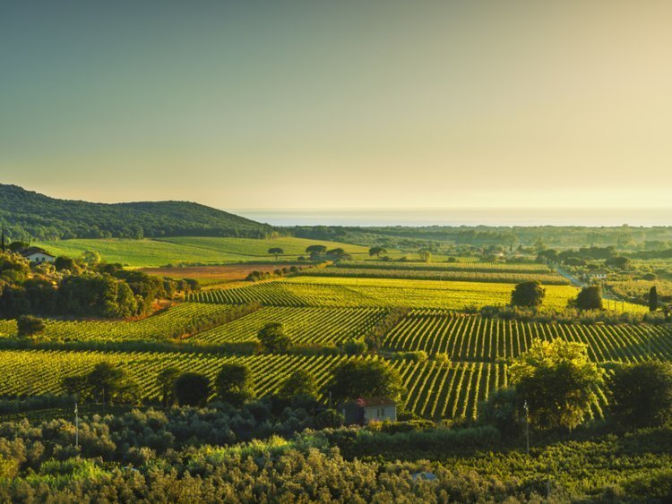 13 лучших мест в мире для сольного путешествия в 2019 году