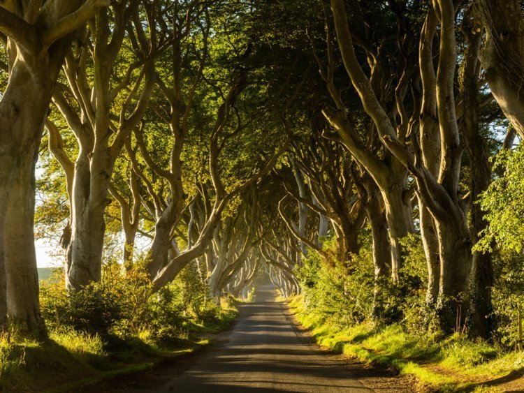 13 лучших мест в мире для сольного путешествия в 2019 году