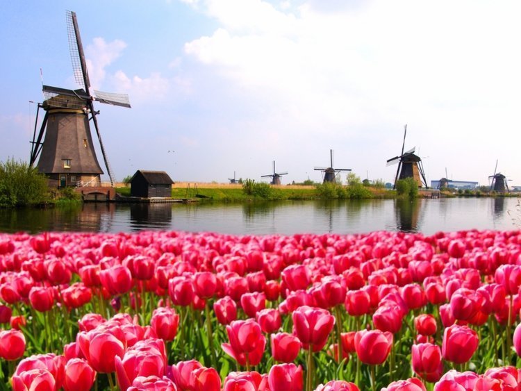 13 лучших мест в мире для сольного путешествия в 2019 году