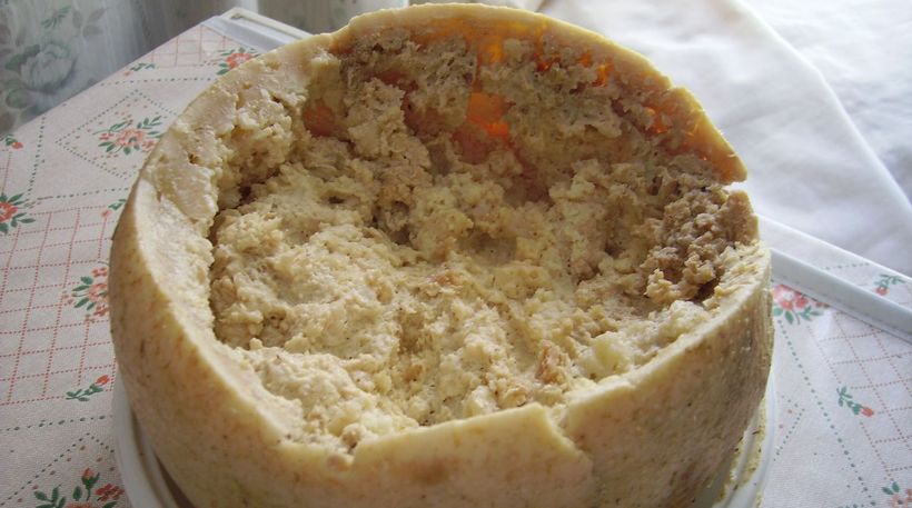 Блог - Сыр с живыми личинками внутри: странные кулинарные традиции жителей Сардинии Сыр с живыми личинками внутри: странные кулинарные традиции жителей Сардинии