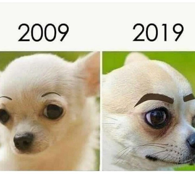 Блог - 2009 против 2019: пользователи делятся смешными фотозаметками об изменениях в мире 2009 против 2019: пользователи делятся смешными фотозаметками об изменениях в мире