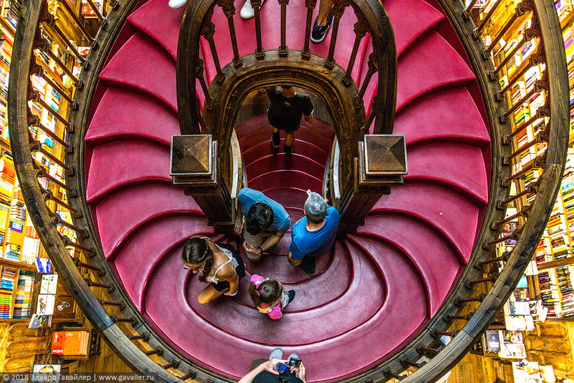 Блог - Livraria Lello — самый красивый книжный магазин в мире Livraria Lello — самый красивый книжный магазин в мире
