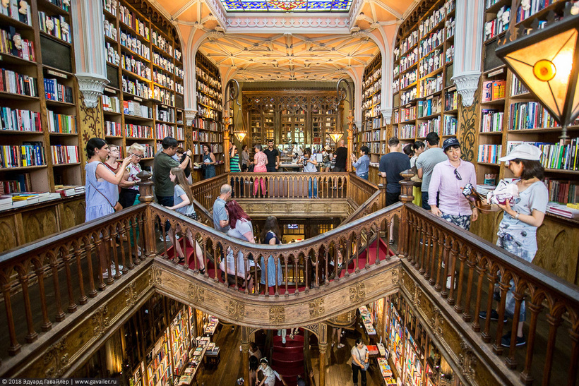 Блог - Livraria Lello — самый красивый книжный магазин в мире Livraria Lello — самый красивый книжный магазин в мире