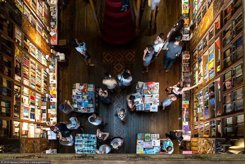 Блог - Livraria Lello — самый красивый книжный магазин в мире Livraria Lello — самый красивый книжный магазин в мире