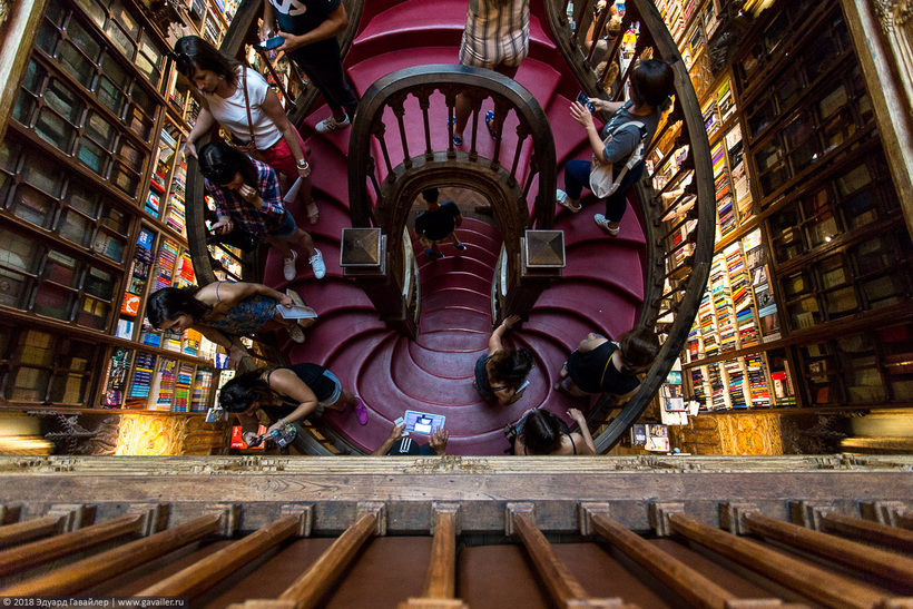 Блог - Livraria Lello — самый красивый книжный магазин в мире Livraria Lello — самый красивый книжный магазин в мире