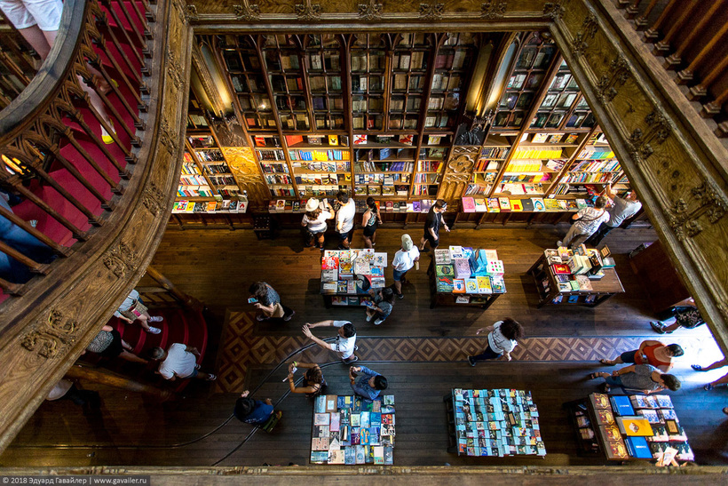 Блог - Livraria Lello — самый красивый книжный магазин в мире Livraria Lello — самый красивый книжный магазин в мире