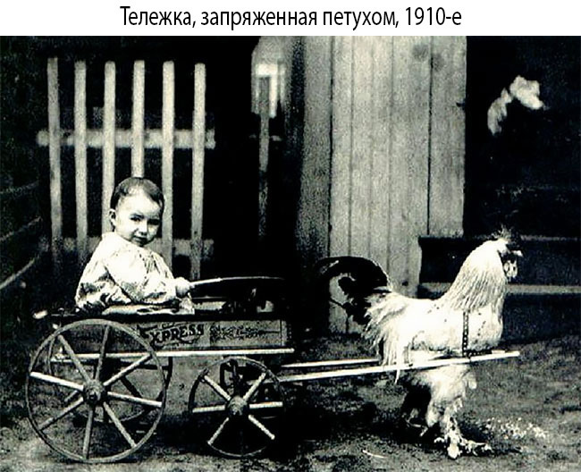 Блог - 20 странных и необычных фото начала ХХ века, которые оставляют в немом недоумении 20 странных и необычных фото начала ХХ века, которые оставляют в немом недоумении