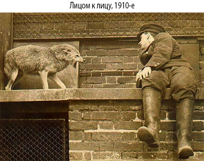 Блог - 20 странных и необычных фото начала ХХ века, которые оставляют в немом недоумении 20 странных и необычных фото начала ХХ века, которые оставляют в немом недоумении