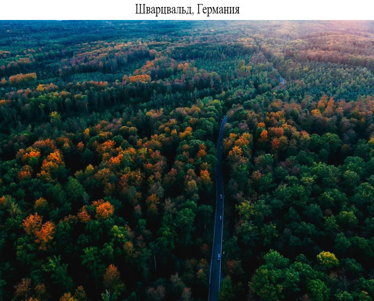 Блог - 19 волшебных лесов со всего мира, которые хотя бы раз нужно увидеть своими глазами 19 волшебных лесов со всего мира, которые хотя бы раз нужно увидеть своими глазами