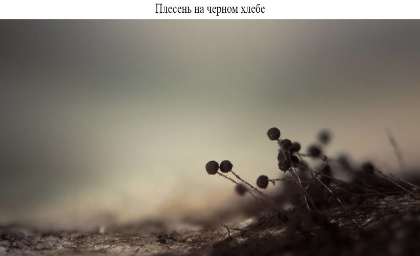 Блог - Ошеломляющие макроснимки вещей и предметов, которыми мы пользуемся каждый день Ошеломляющие макроснимки вещей и предметов, которыми мы пользуемся каждый день