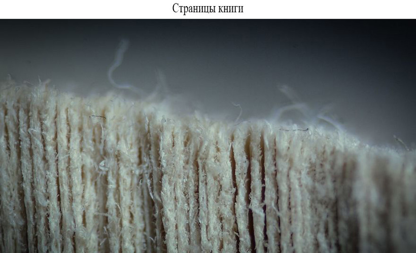 Блог - Ошеломляющие макроснимки вещей и предметов, которыми мы пользуемся каждый день Ошеломляющие макроснимки вещей и предметов, которыми мы пользуемся каждый день