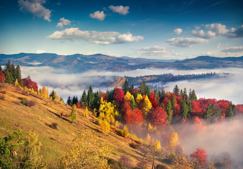 Карпаты