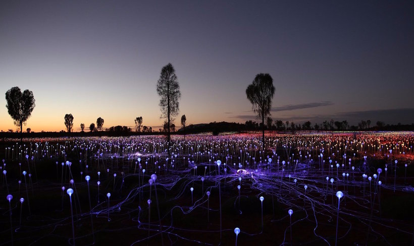Выставка Field of Light Uluru