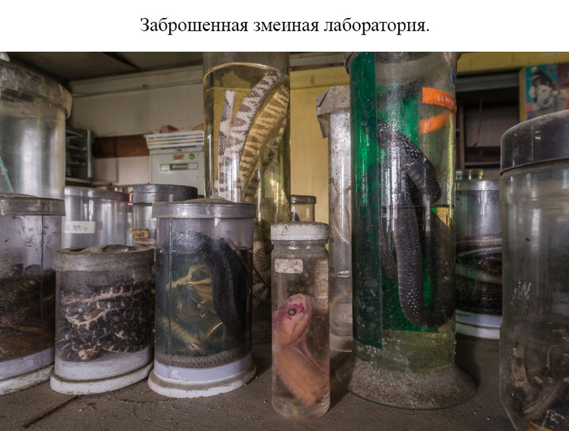 Блог - 20 фото заброшенных мест Японии, которые никого не оставляют равнодушным 20 фото заброшенных мест Японии, которые никого не оставляют равнодушным