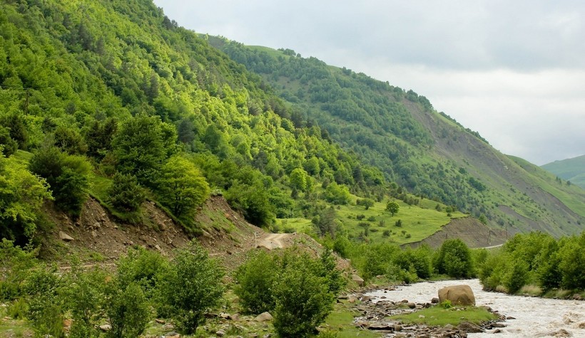 Флора Кавказа