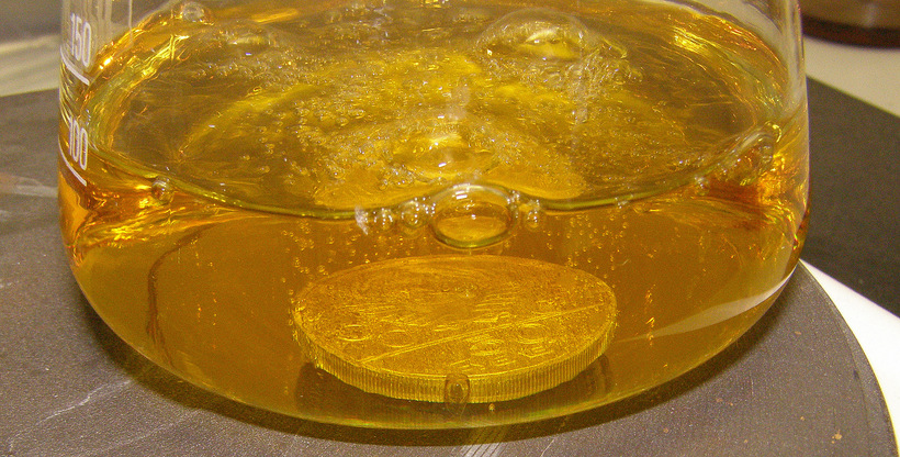 В Австралии обнаружены грибы, которые питаются золотом