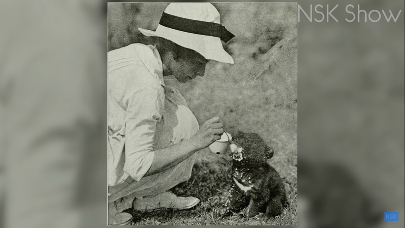 Охотник за бандитами и древностями — реальный Индиана Джонс, легенда своего времени