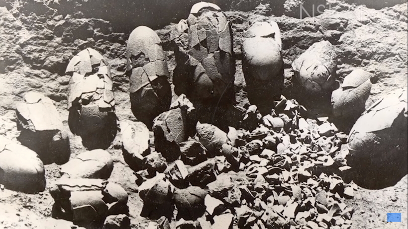 Охотник за бандитами и древностями — реальный Индиана Джонс, легенда своего времени