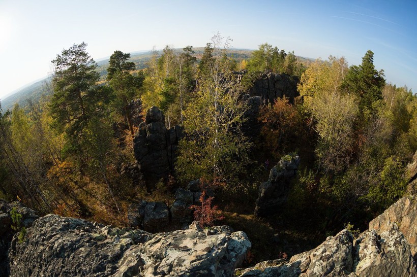 Флора Азова
