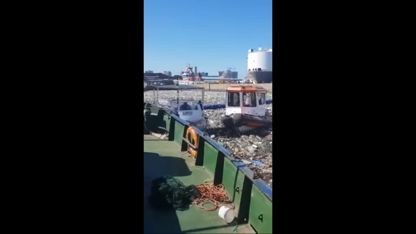 Блог - Видео: Чудовищное количество мусора в порту Дурбан в ЮАР Видео: Чудовищное количество мусора в порту Дурбан в ЮАР