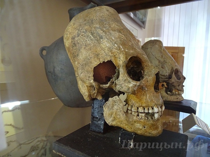 Черепа с признаками деформирования, найденные в захоронениях сарматов Черепа с признаками деформирования, найденные в захоронениях сарматов