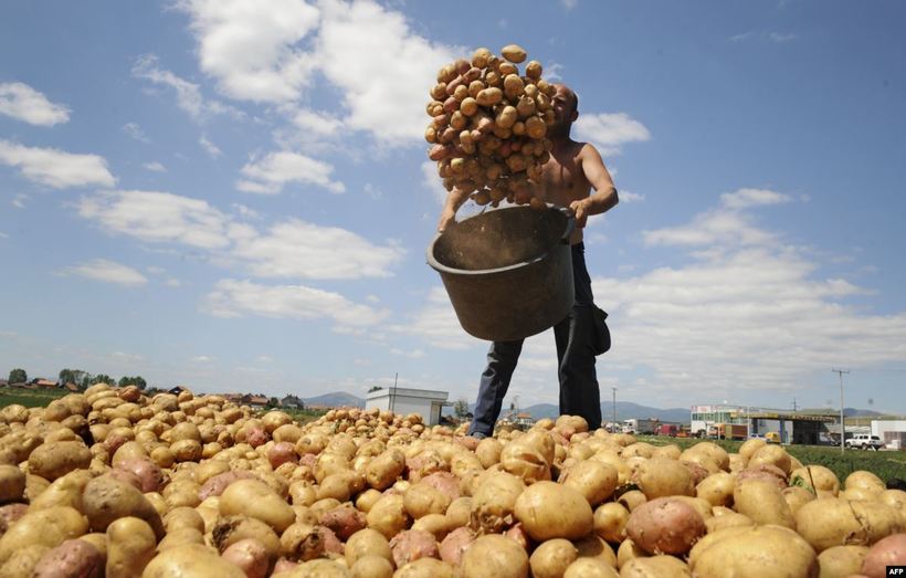 Блог - От пива до шоколада: какие продукты исчезнут из-за глобального потепления От пива до шоколада: какие продукты исчезнут из-за глобального потепления