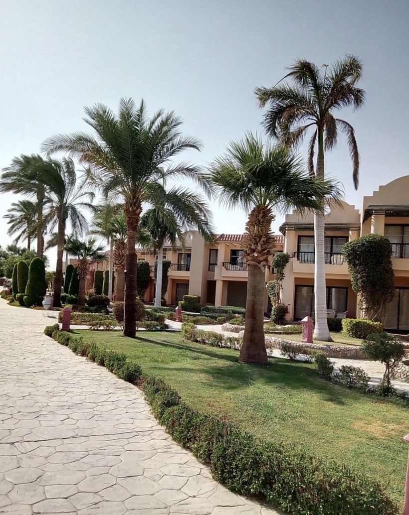 Территория Aladdin Beach Resort