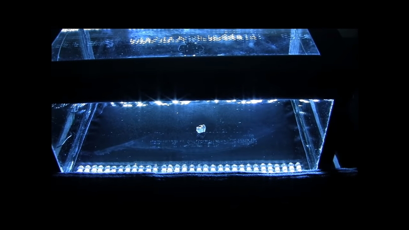 Блог - Видео: Как выглядит радиация Видео: Как выглядит радиация