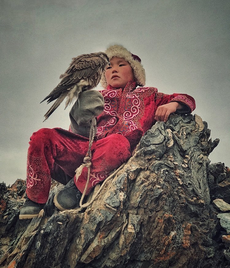 Блог - Победители конкурса фотографий, сделанных на iPhone в 2019 году Победители конкурса фотографий, сделанных на iPhone в 2019 году