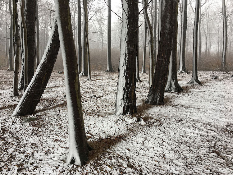 Блог - Победители конкурса фотографий, сделанных на iPhone в 2019 году Победители конкурса фотографий, сделанных на iPhone в 2019 году